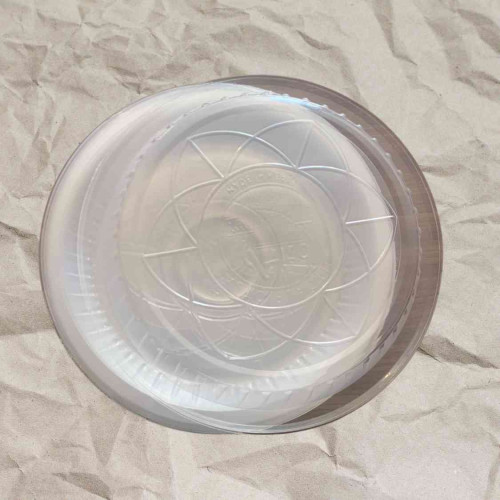 Plastic Plate 12 inch (1pcs)