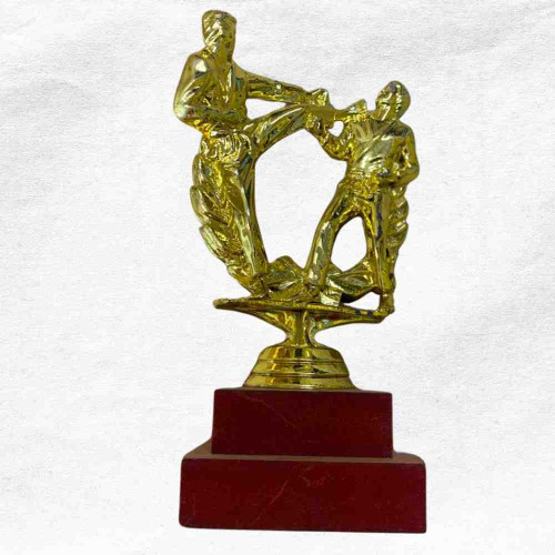 Karate Statue Trophy (1pcs)