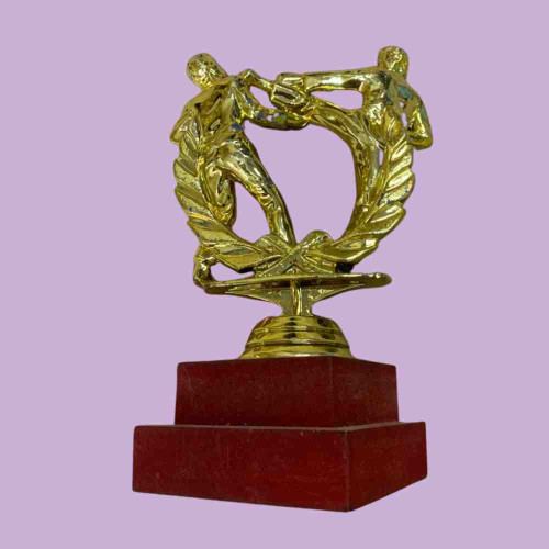 Karate Statue Trophy (1pcs)