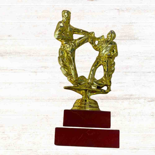 Karate Statue Trophy (1pcs)