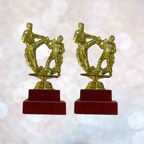 Karate Statue Trophy (12pcs)