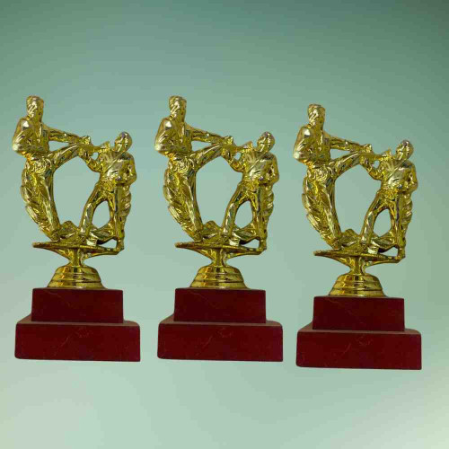 Karate Statue Trophy (12pcs)