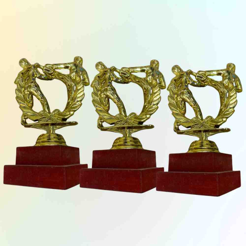 Karate Statue Trophy (12pcs)