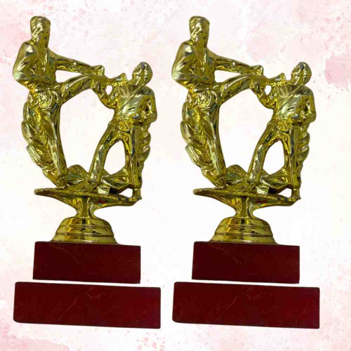 Karate Statue Trophy (72pcs)