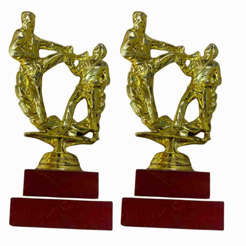 Karate Statue Trophy (72pcs)