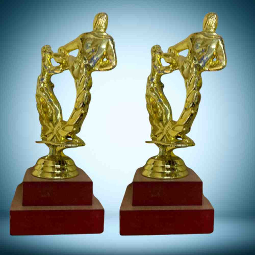 Karate Statue Trophy (72pcs)