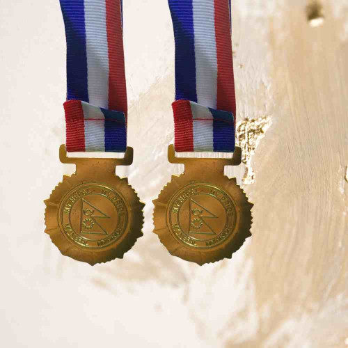 Small Star Gold Medal (12pcs)