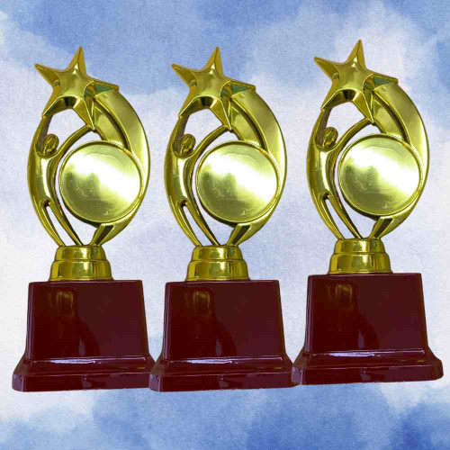 Star Trophy (72pcs)