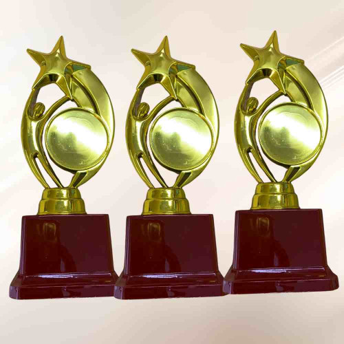 Star Trophy (72pcs)