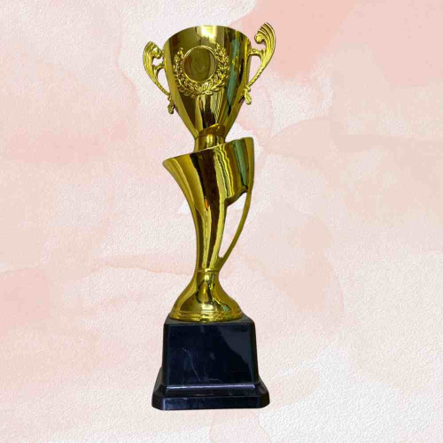 Cup Trophy (1pcs)