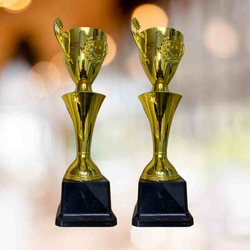 Cup Trophy (12pcs)