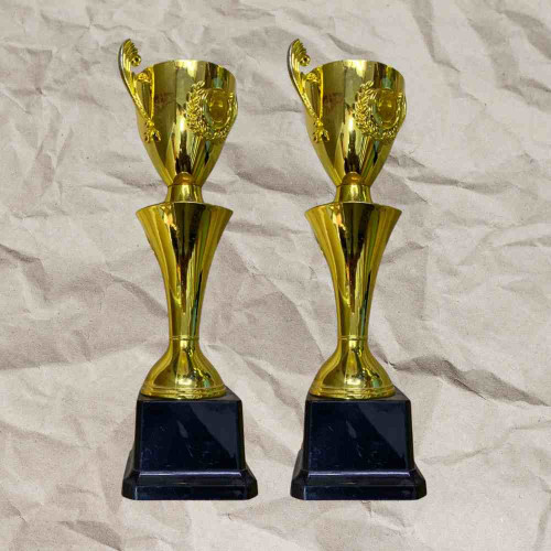 Cup Trophy (12pcs)