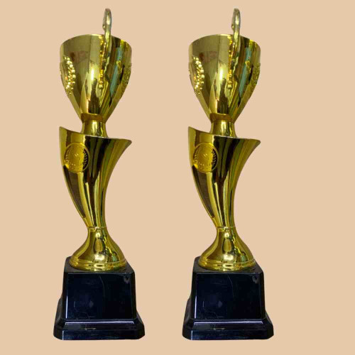 Cup Trophy (12pcs)