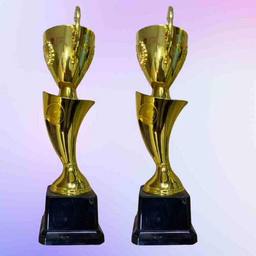 Cup Trophy (12pcs)