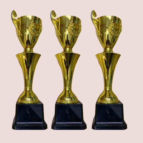 Cup Trophy (72pcs)