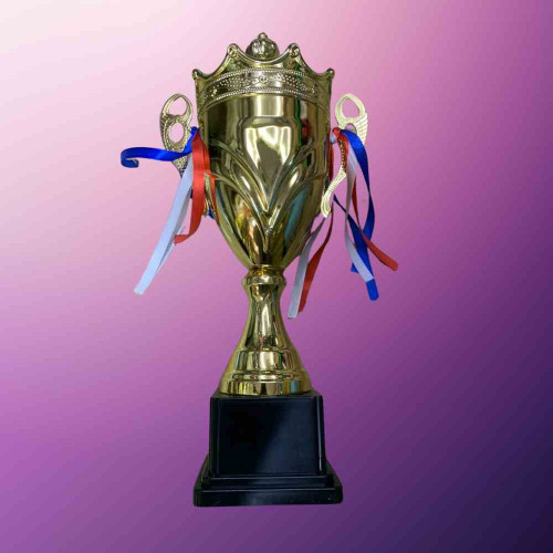 Crown Trophy (6set)