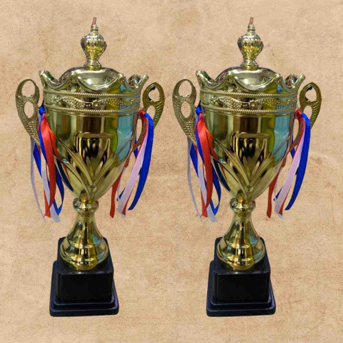 Crown Small Trophy (12pcs)