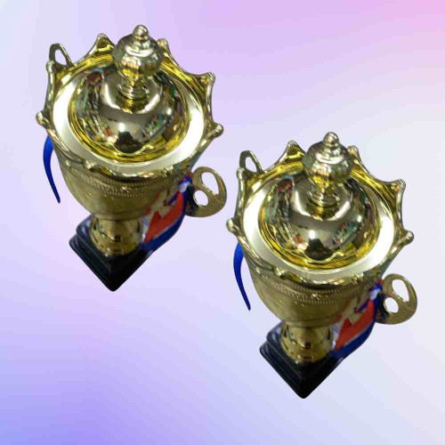 Crown Small Trophy (12pcs)