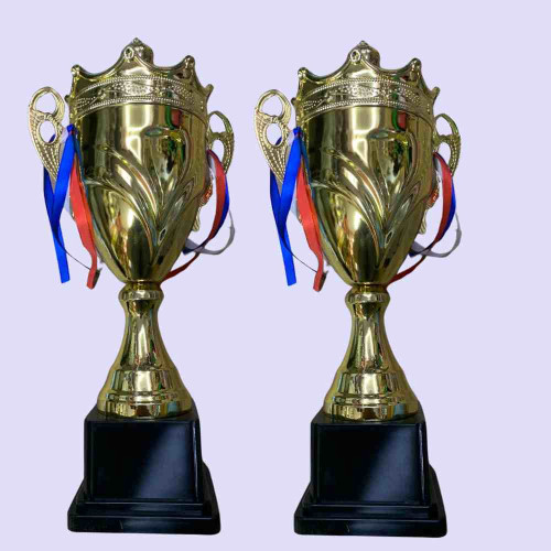 Crown Small Trophy (12pcs)