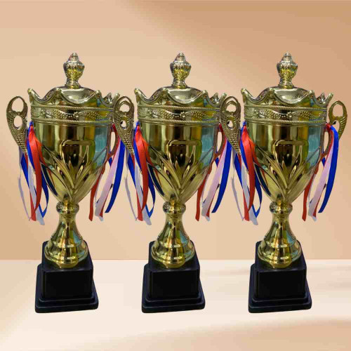 Crown Small Trophy (72pcs)