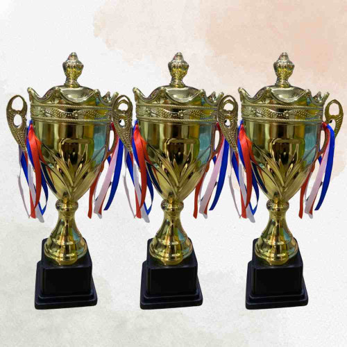 Crown Small Trophy (72pcs)