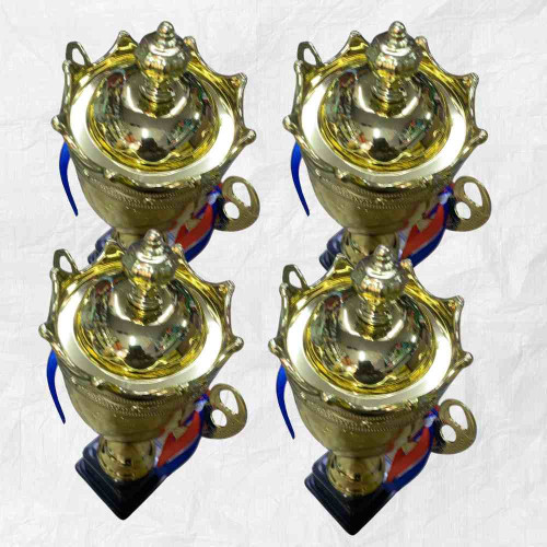 Crown Small Trophy (72pcs)