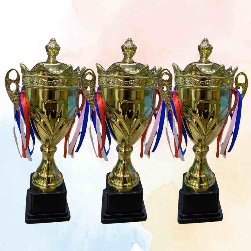 Crown Small Trophy (72pcs)