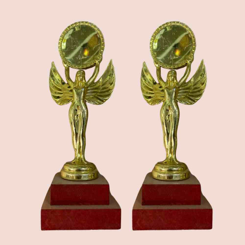 Angel Statue Trophy (12pcs)