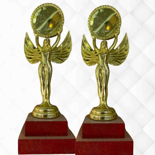 Angel Statue Trophy (12pcs)