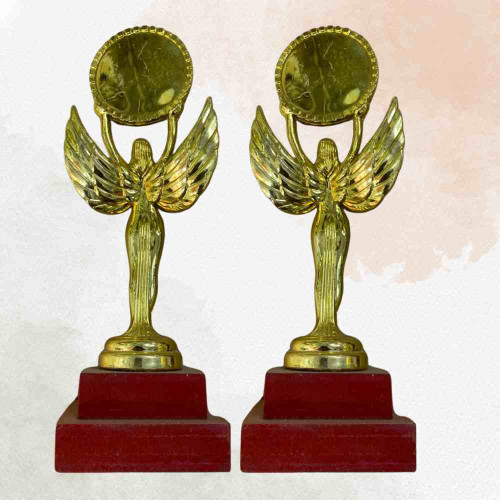 Angel Statue Trophy (12pcs)