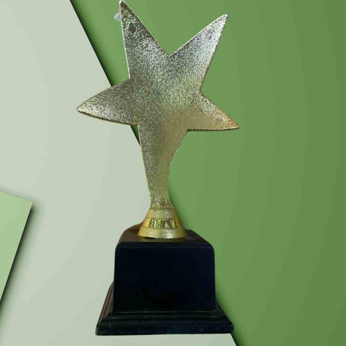 One Star Trophy (1pcs)