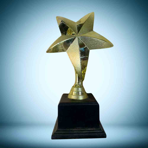 One Star Trophy (1pcs)