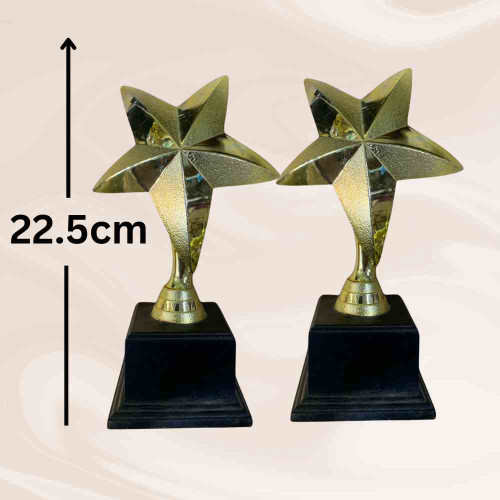 One Star Trophy (12pcs)