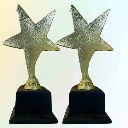 One Star Trophy (12pcs)