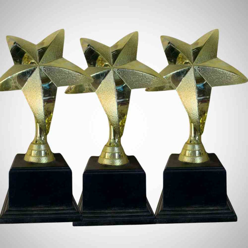 One Star Trophy (72pcs)