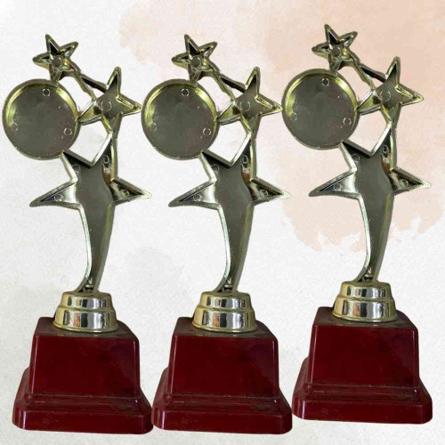 3 Star Trophy (72pcs)