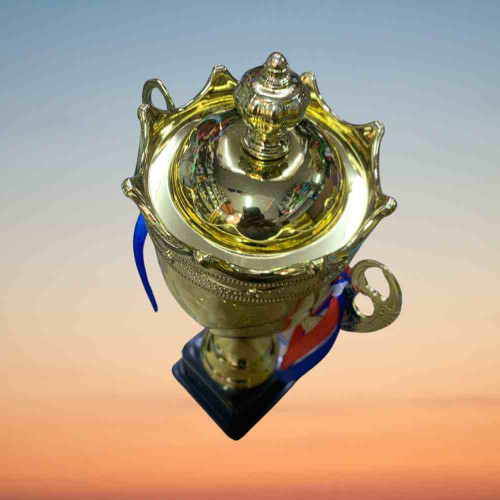 Crown Medium Size Trophy (1pcs)