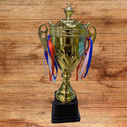 Crown Medium Size Trophy (1pcs)