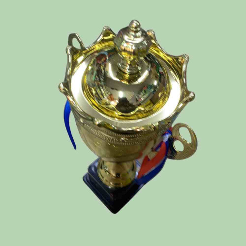 Crown Medium Size Trophy (1pcs)