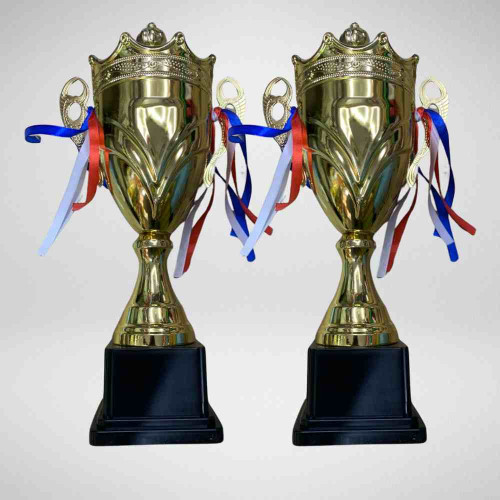 Crown Medium Size Trophy (12pcs)