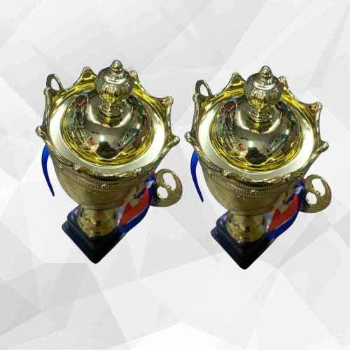 Crown Medium Size Trophy (12pcs)