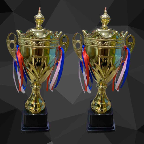 Crown Medium Size Trophy (12pcs)