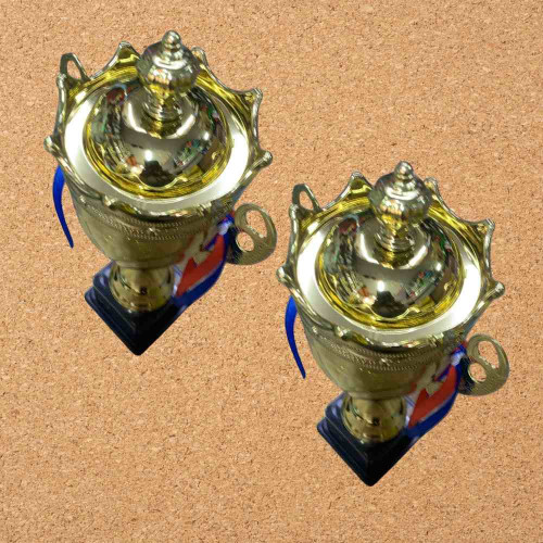 Crown Medium Size Trophy (12pcs)