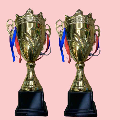 Crown Medium Size Trophy (12pcs)