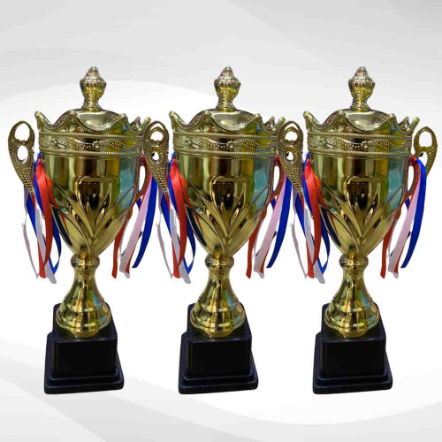 Crown Medium Size Trophy (72pcs)