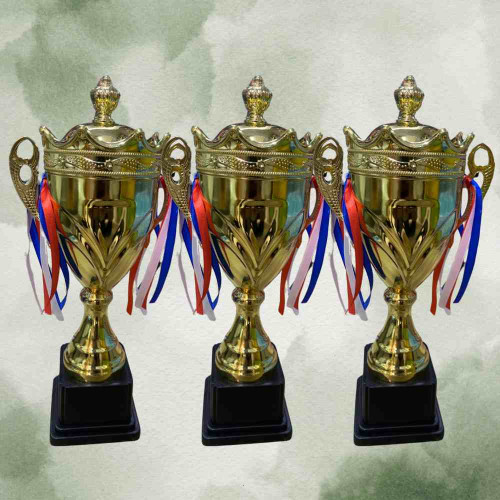 Crown Medium Size Trophy (72pcs)