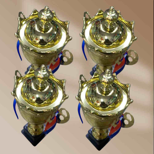 Crown Medium Size Trophy (72pcs)