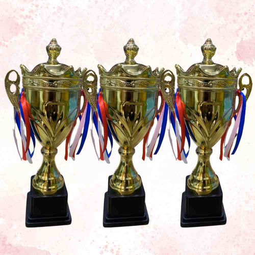 Crown Medium Size Trophy (72pcs)