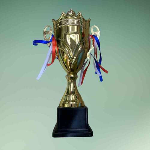 Crown Large Trophy (1pcs)