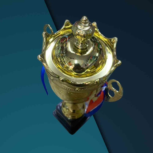 Crown Large Trophy (1pcs)